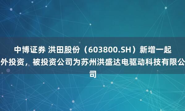 中博证券 洪田股份（603800.SH）新增一起对外投资，被投资公司为苏州洪盛达电驱动科技有限公司