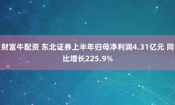 财富牛配资 东北证券上半年归母净利润4.31亿元 同比增长225.9%