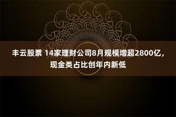 丰云股票 14家理财公司8月规模增超2800亿，现金类占比创年内新低