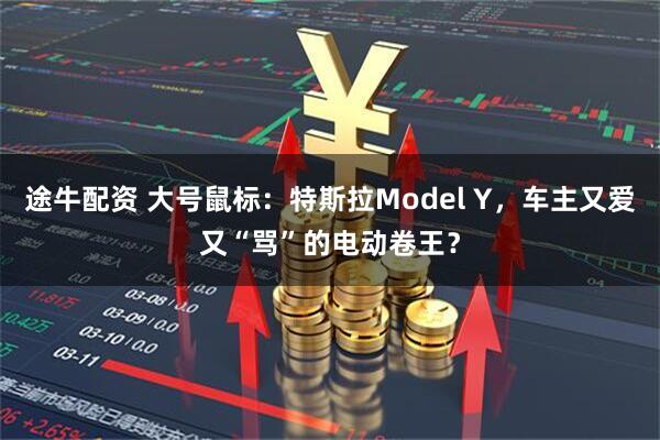 途牛配资 大号鼠标：特斯拉Model Y，车主又爱又“骂”的电动卷王？